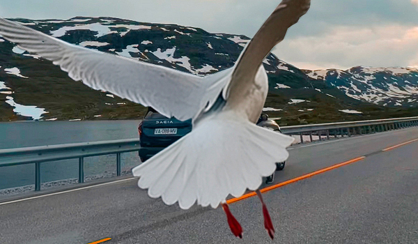 Дайджест дня: доработанный Lexus LC, новый Jeep Compass и другие события индустрии Дайджест дня: доработанный Lexus LC, новый Jeep Compass и другие события индустрии