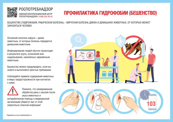 Зеленоградские ветеринары призывают владельцев домашних животных регулярно прививать их от бешенства