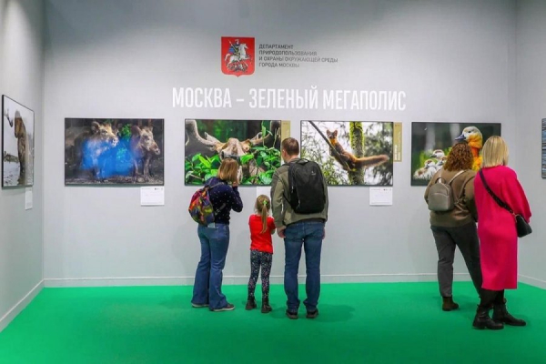 Семьи участников СВО приглашают на экскурсии по выставке «Золотая черепаха»