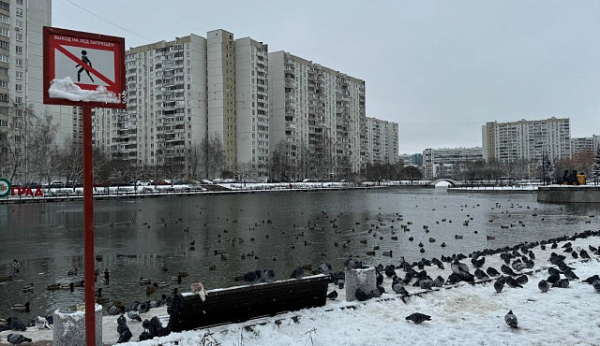 В Зеленограде заменили знаки безопасности на водных объектах и в местах зимнего отдыха
