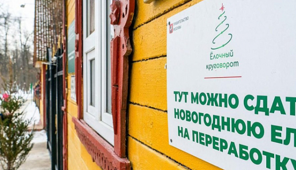В Зеленограде можно сдать в переработку новогодние деревья