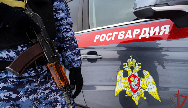 Столичные росгвардейцы задержали подозреваемого в краже электроинструмента и дорогостоящего алкоголя