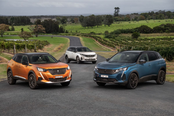 Концерн Stellantis в 2024 году: падение по всем направлениям