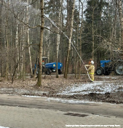 В Зеленограде прошли пожарные учения по тушению лесных пожаров