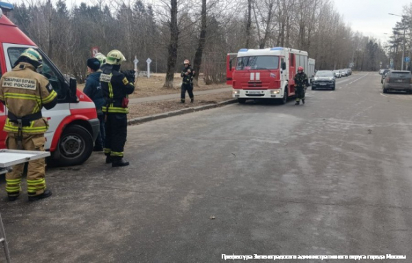 В Зеленограде прошли пожарные учения по тушению лесных пожаров