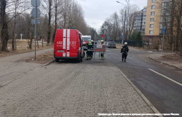 В Зеленограде прошли пожарные учения по тушению лесных пожаров