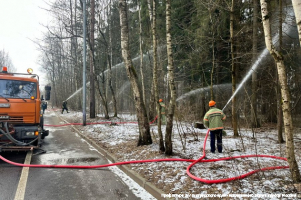 В Зеленограде прошли пожарные учения по тушению лесных пожаров