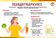 Роспотребнадзор: О профилактике инфекционных заболеваний с началом дачного сезона