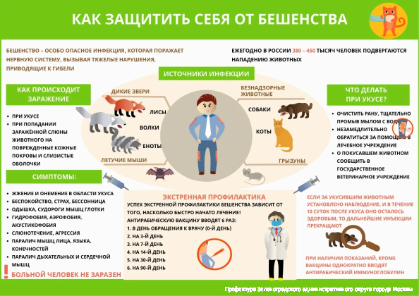 Роспотребнадзор: О профилактике инфекционных заболеваний с началом дачного сезона