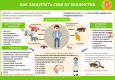 Роспотребнадзор: О профилактике инфекционных заболеваний с началом дачного сезона