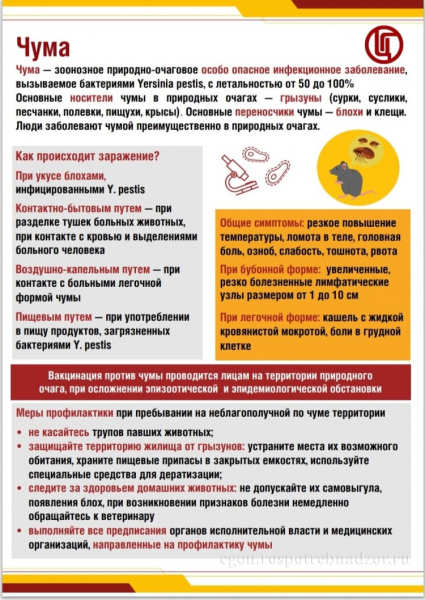 Памятка для путешественников - ГКБ Кончаловского
