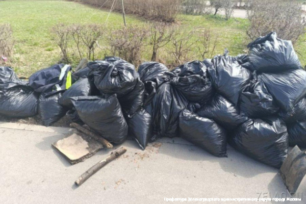 Участниками субботника в Зеленограде стали порядка 3300 человек