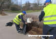 Участниками субботника в Зеленограде стали порядка 3300 человек