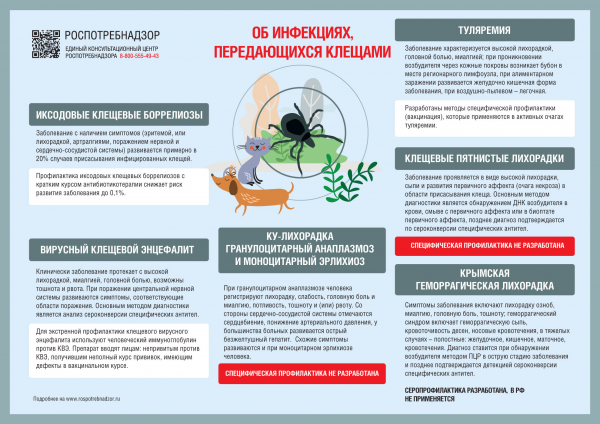 Роспотребнадзор: Инфекции, передающиеся с укусами клещей