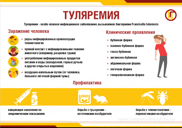 Роспотребнадзор: О профилактике инфекционных заболеваний с началом дачного сезона