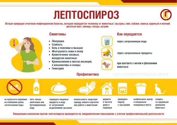 Роспотребнадзор: О профилактике инфекционных заболеваний с началом дачного сезона