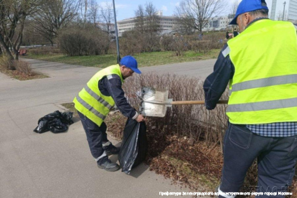 Участниками субботника в Зеленограде стали порядка 3300 человек