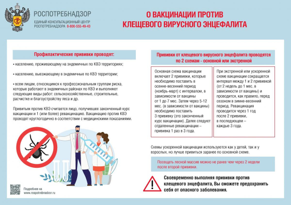 Роспотребнадзор: Инфекции, передающиеся с укусами клещей