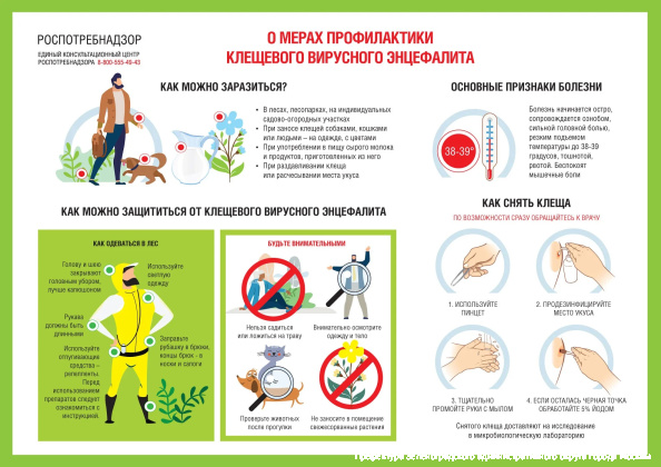 Роспотребнадзор: О профилактике инфекционных заболеваний с началом дачного сезона