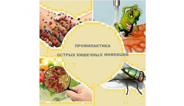Роспотребнадзор: о профилактике кишечных инфекций