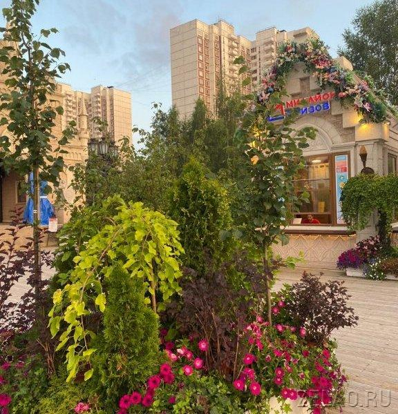 Зеленоградцы могут стать участниками интересных событий «Лета в Москве»