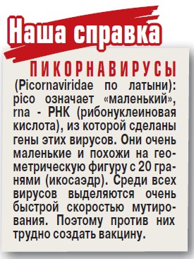 Что еще за Коксаки такой?