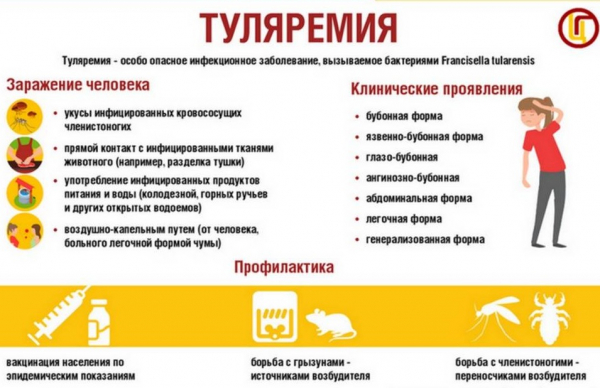 Профилактика туляремии