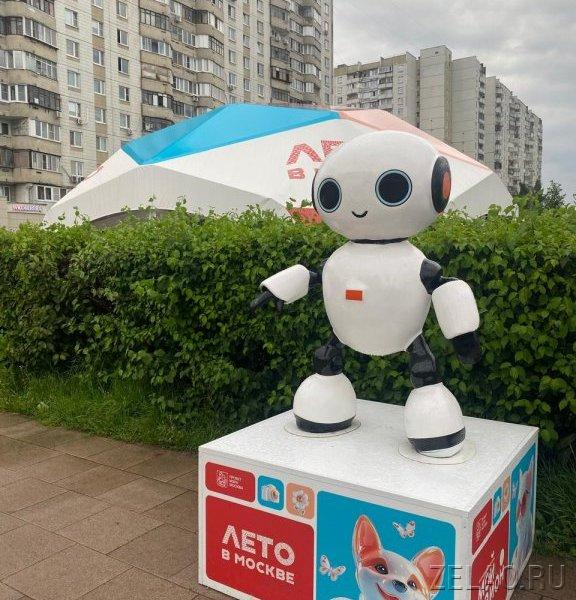 Зеленоградцы могут стать участниками интересных событий «Лета в Москве»