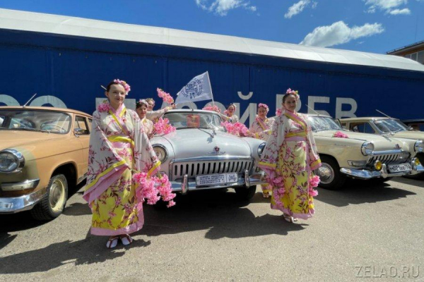 «Автобаза» под Зеленоградом – это нужно было видеть!