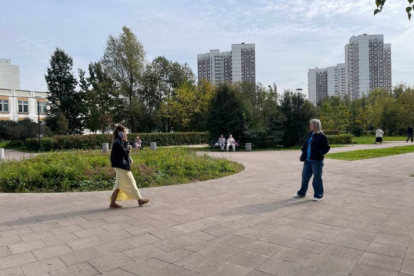 В зоне отдыха Михайловского пруда поддерживается регулярный порядок