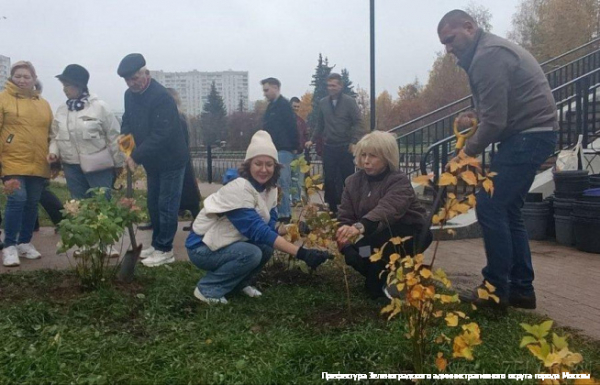 Зеленоградцы высадили кустарники на островке Михайловского пруда