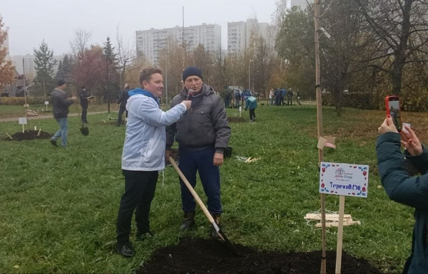 Зеленоградские папы в свой праздник высадили деревья у Михайловского пруда