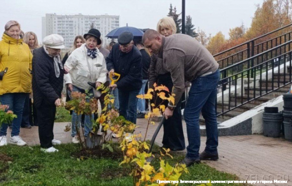 Зеленоградцы высадили кустарники на островке Михайловского пруда
