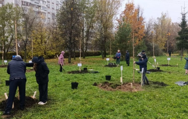 Зеленоградские папы в свой праздник высадили деревья у Михайловского пруда