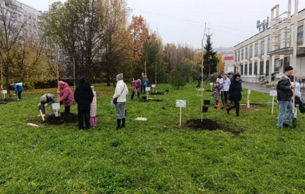 Зеленоградские папы в свой праздник высадили деревья у Михайловского пруда