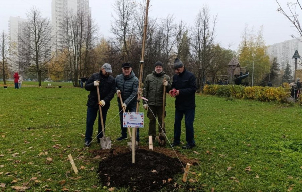 Зеленоградские папы в свой праздник высадили деревья у Михайловского пруда