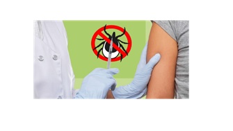 Роспотребнадзор: о вакцинации против клещевого энцефалита