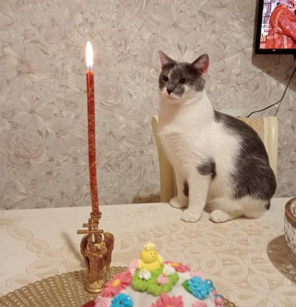 Испытание счастьем