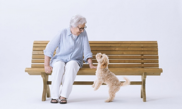 Собаки не дают стареть