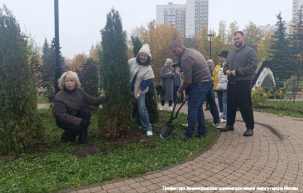 Зеленоградцы высадили кустарники на островке Михайловского пруда