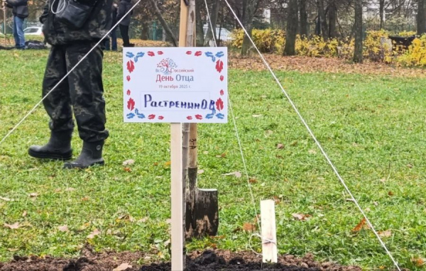 Зеленоградские папы в свой праздник высадили деревья у Михайловского пруда