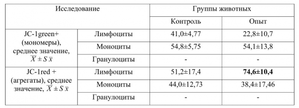 Митохондрия – энергия для жизни