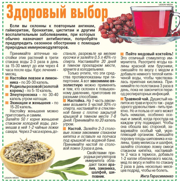 Антибиотики: за и против