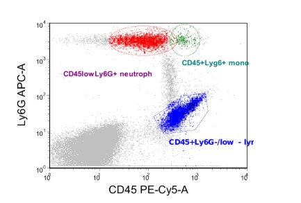 Митохондрия – энергия для жизни