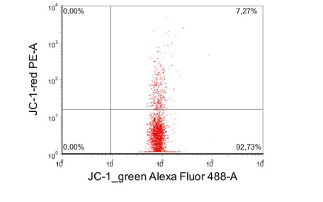 Митохондрия – энергия для жизни