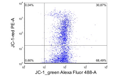 Митохондрия – энергия для жизни