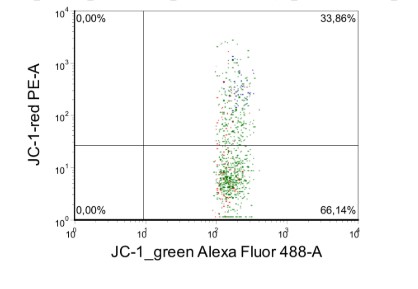 Митохондрия – энергия для жизни
