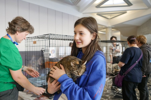 Выставка-пристройство животных пройдет в Зеленограде в воскресенье