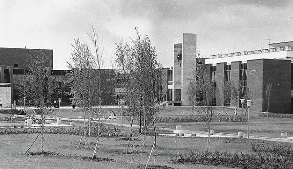 «Доброй памяти преподаватели» – студенты МИЭТа – о своих профессорах