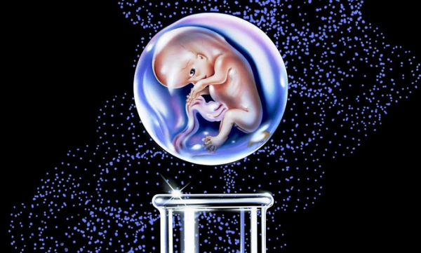 ГМО-дети на подходе